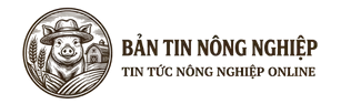 Bản Tin Nông Nghiệp