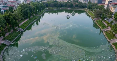Nghi Vấn Đổ Trộm Chất Thải Gây Ô Nhiễm Hồ Điều Hòa Mai Dịch