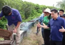 Phát triển nghề nuôi ong bền vững: Chìa khóa từ chuỗi liên kết và thương hiệu