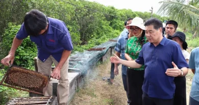 Phát triển nghề nuôi ong bền vững: Chìa khóa từ chuỗi liên kết và thương hiệu