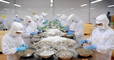 Xuất khẩu thủy sản Việt Nam đạt 5,7 tỷ USD, Trung Quốc dẫn đầu thị trường