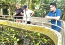 Khám phá “bệnh viện” rùa quý hiếm giữa lòng Vườn quốc gia Cúc Phương