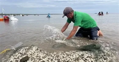 Vĩnh Long quy hoạch 16 xã lên phường: Thúc đẩy đô thị hóa toàn diện