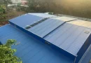 Trang trại nuôi chồn hương đột biến độc lạ tại Đồng Nai
