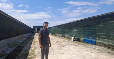 Cựu chiến binh Hải Phòng làm giàu từ mô hình nuôi 25.000 con gà công nghệ cao