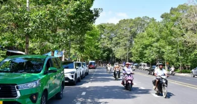 Nông nghiệp tái sinh: Hướng đi bền vững cho cây hồ tiêu Đồng Nai