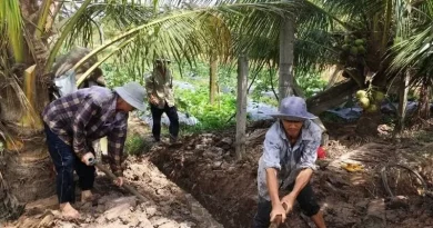 Nông dân Nghệ An làm giàu nhờ nuôi ếch trong chuồng lợn bỏ hoang