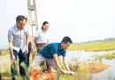 Danh sách 5 xã nhỏ nhất tại Phú Thọ dự kiến sáp nhập lần hai